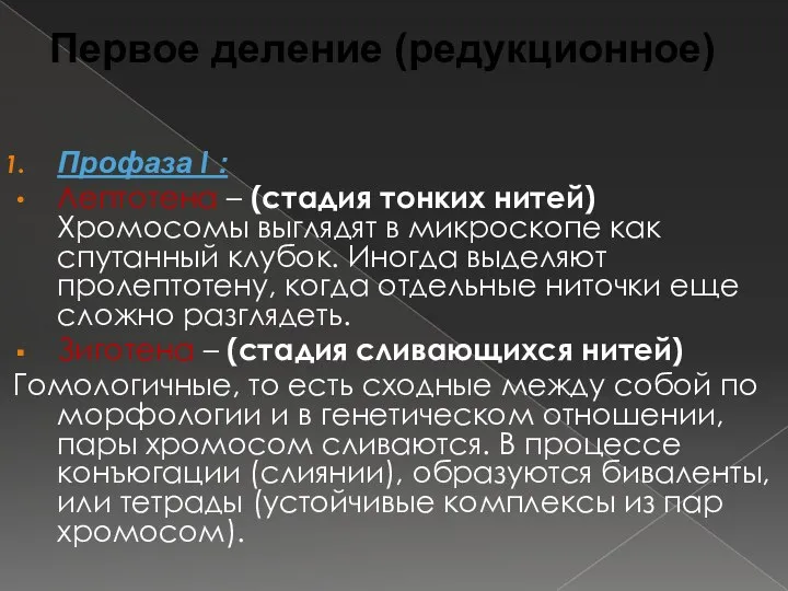Первое деление (редукционное) Профаза I : Лептотена – (стадия тонких нитей)