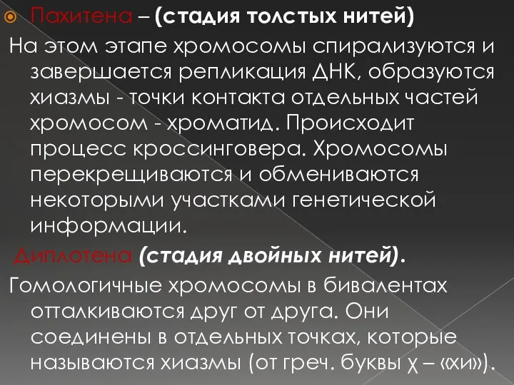 Пахитена – (стадия толстых нитей) На этом этапе хромосомы спирализуются и