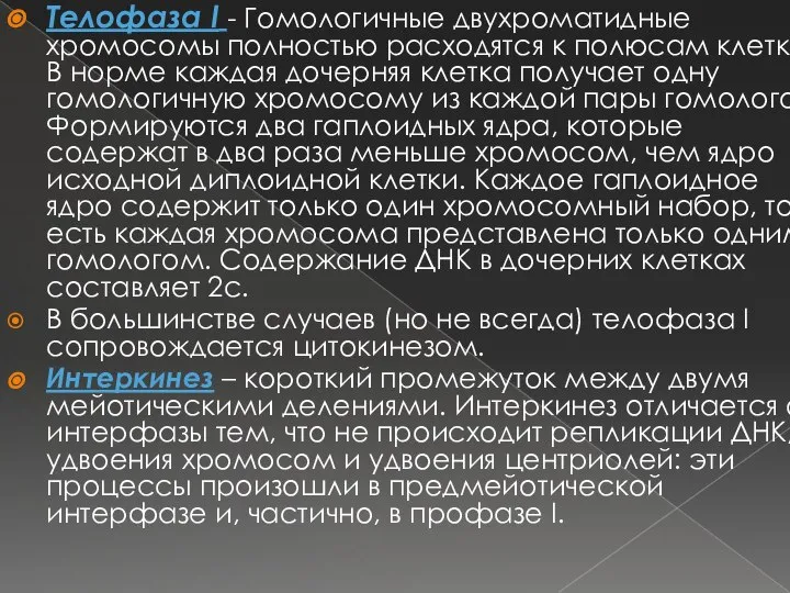 Телофаза I - Гомологичные двухроматидные хромосомы полностью расходятся к полюсам клетки.