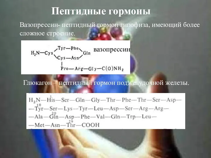 Пептидные гормоны вазопрессин Вазопрессин- пептидный гормон гипофиза, имеющий более сложное строение.