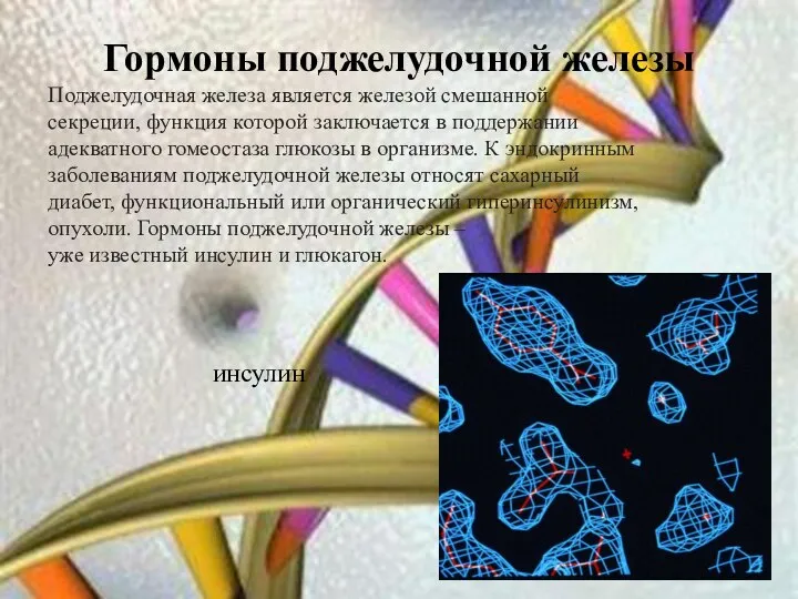 Гормоны поджелудочной железы Поджелудочная железа является железой смешанной секреции, функция которой