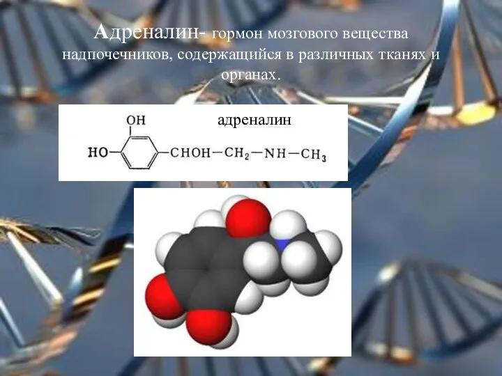 Адреналин- гормон мозгового вещества надпочечников, содержащийся в различных тканях и органах. адреналин
