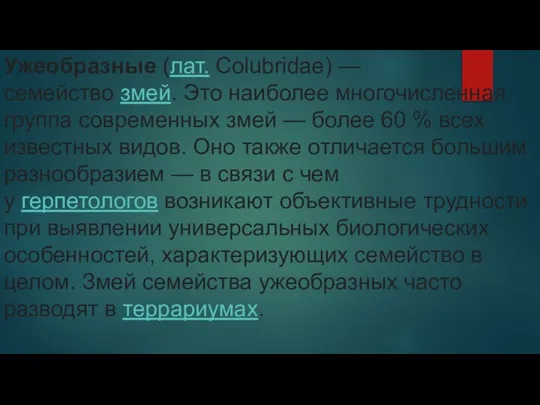 Ужеобразные (лат. Colubridae) — семейство змей. Это наиболее многочисленная группа современных