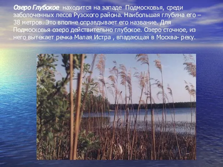 Озеро Глубокое находится на западе Подмосковья, среди заболоченных лесов Рузского района.