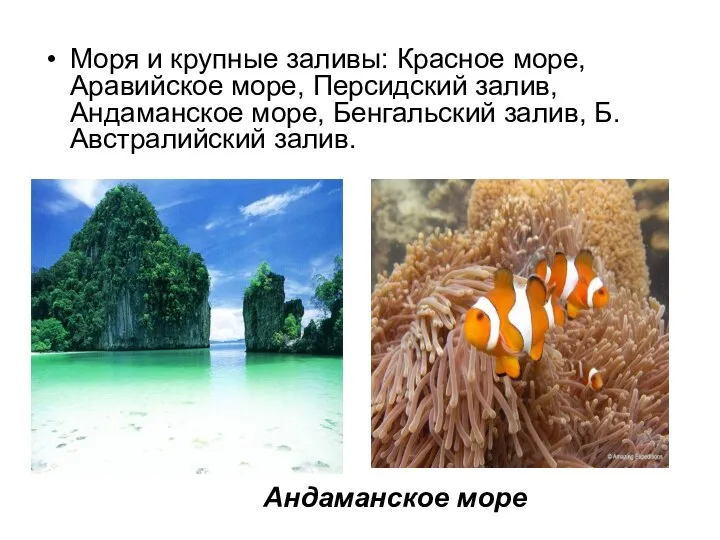 Моря и крупные заливы: Красное море, Аравийское море, Персидский залив, Андаманское