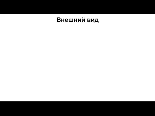 Внешний вид