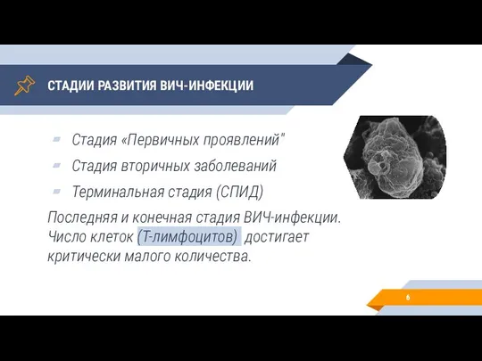 СТАДИИ РАЗВИТИЯ ВИЧ-ИНФЕКЦИИ Стадия «Первичных проявлений" Стадия вторичных заболеваний Терминальная стадия