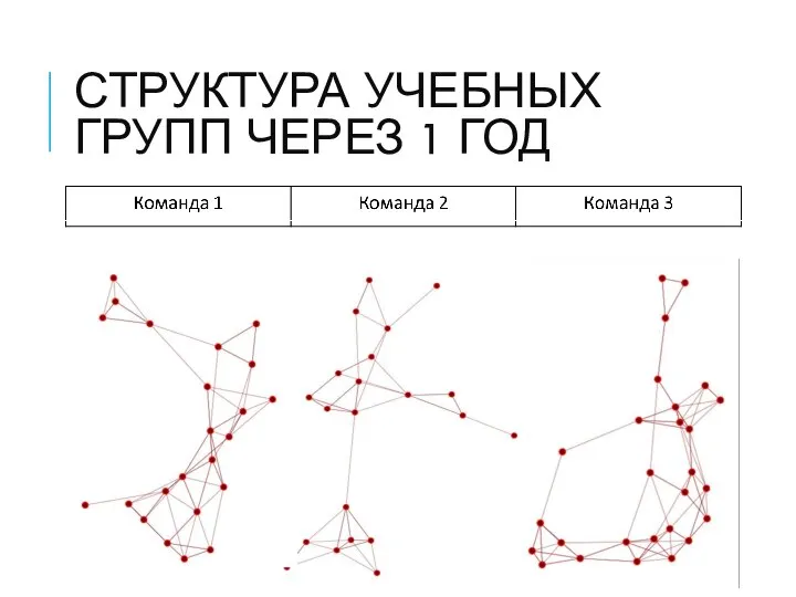 Структура учебных групп через 1 год