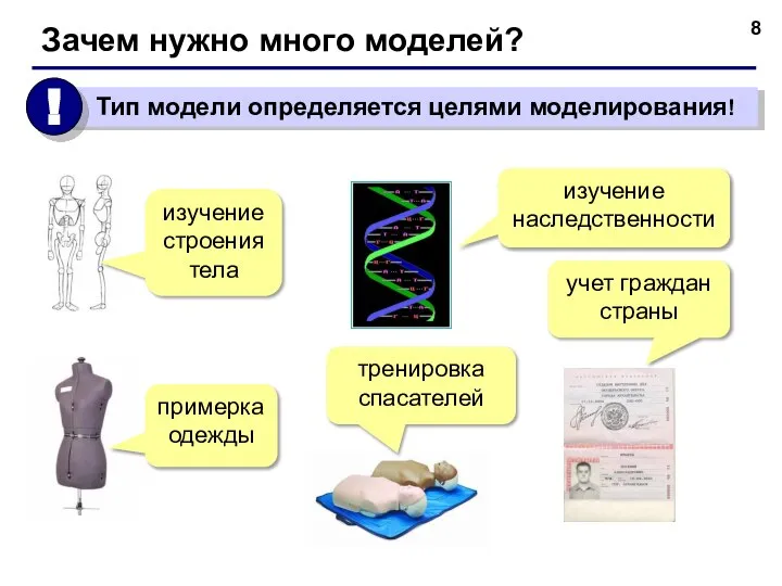 Зачем нужно много моделей? изучение строения тела примерка одежды изучение наследственности тренировка спасателей учет граждан страны