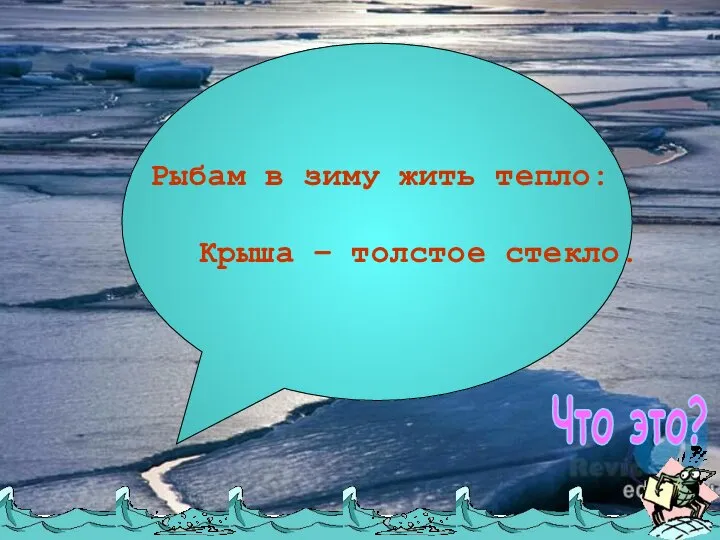 Рыбам в зиму жить тепло: Крыша – толстое стекло. Что это?