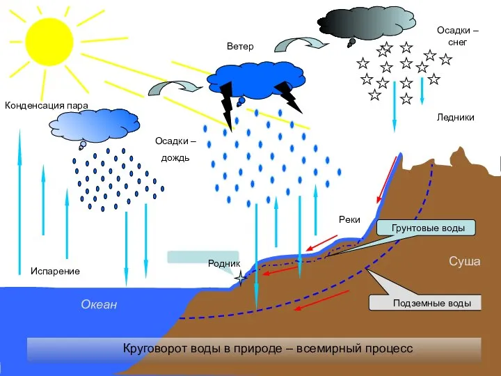 Испарение Конденсация пара Осадки – дождь Осадки – снег Ветер Круговорот