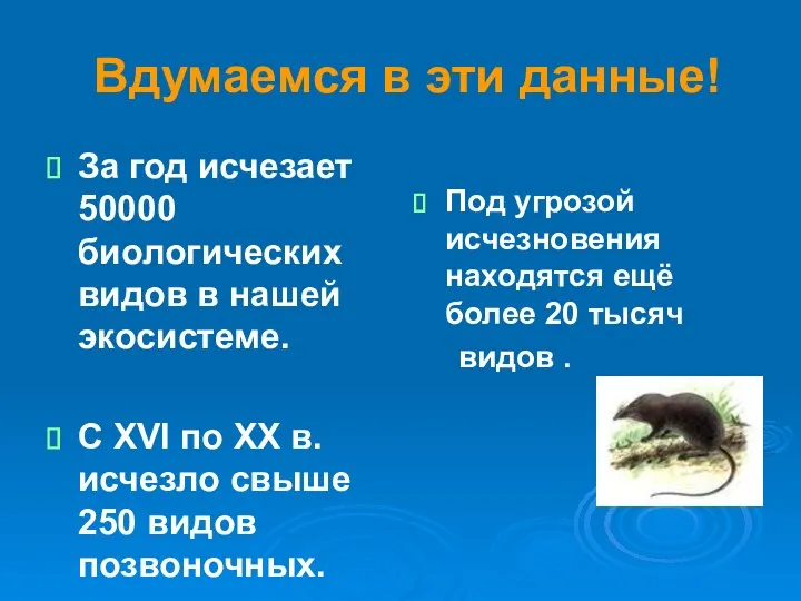 Вдумаемся в эти данные! За год исчезает 50000 биологических видов в