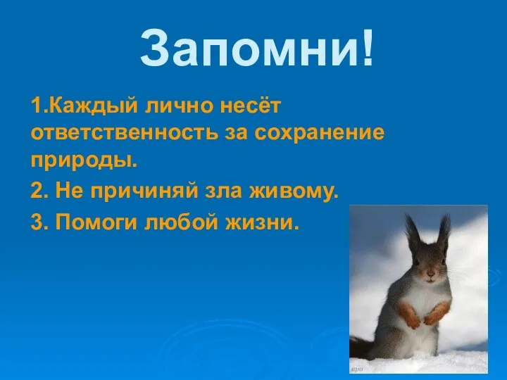 Запомни! 1.Каждый лично несёт ответственность за сохранение природы. 2. Не причиняй