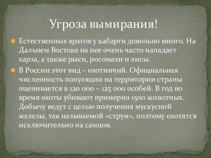 Естественных врагов у кабарги довольно много. На Дальнем Востоке на нее