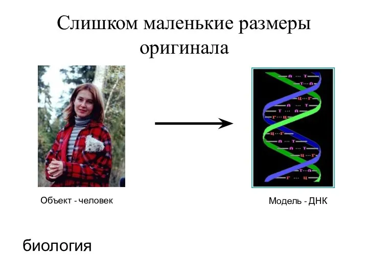 Слишком маленькие размеры оригинала биология Объект - человек Модель - ДНК