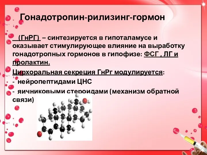 Гонадотропин-рилизинг-гормон (ГнРГ) – синтезируется в гипоталамусе и оказывает стимулирующее влияние на