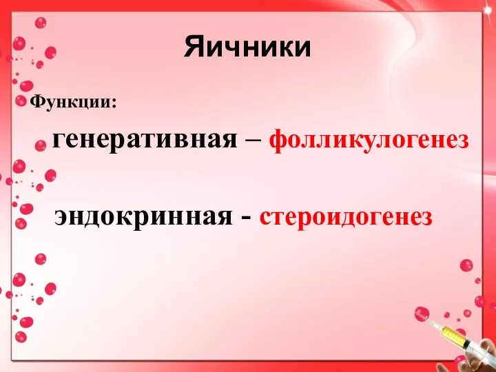 Яичники Функции: генеративная – фолликулогенез эндокринная - стероидогенез