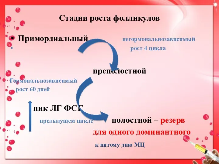 Стадии роста фолликулов Примордиальный негормональнозависимый рост 4 цикла преполостной Гормональнозависимый рост