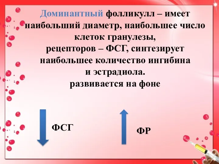 Доминантный фолликулл – имеет наибольший диаметр, наибольшее число клеток гранулезы, рецепторов