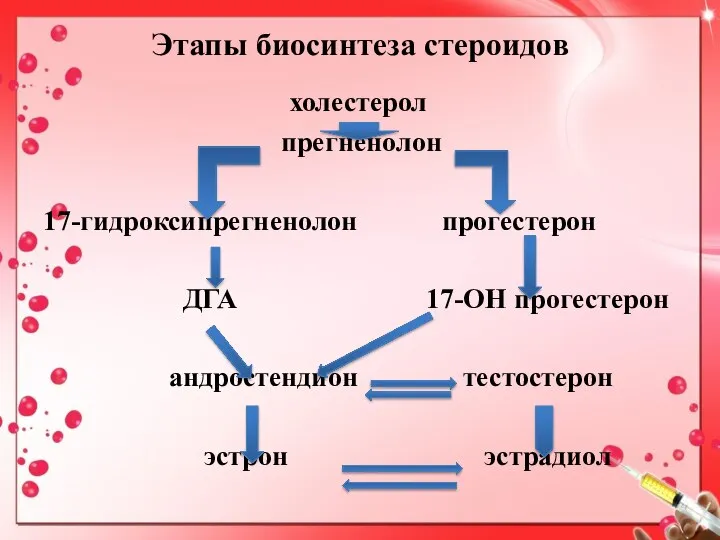 Этапы биосинтеза стероидов холестерол прегненолон 17-гидроксипрегненолон прогестерон ДГА 17-ОН прогестерон андростендион тестостерон эстрон эстрадиол