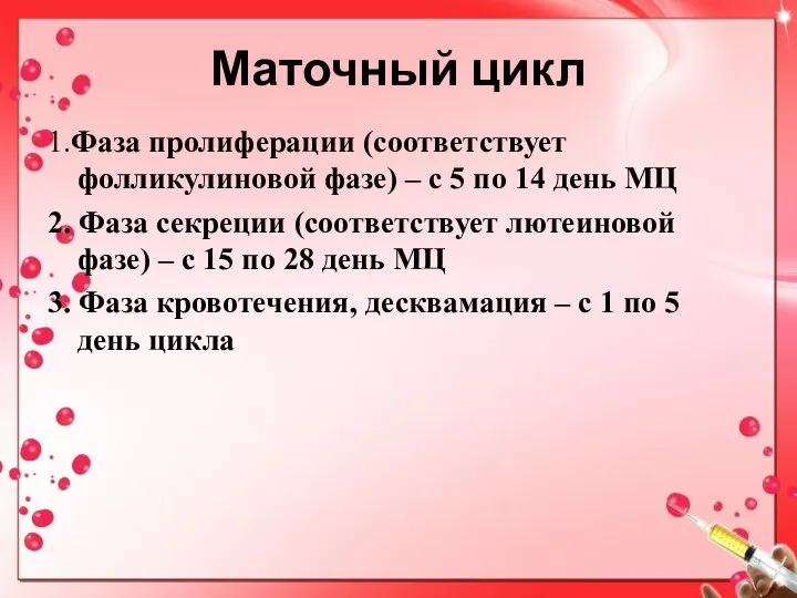 Маточный цикл 1.Фаза пролиферации (соответствует фолликулиновой фазе) – с 5 по