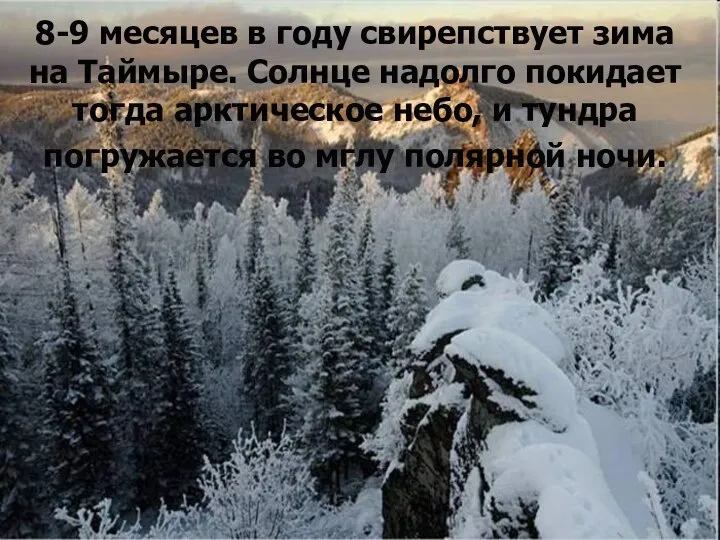 8-9 месяцев в году свирепствует зима на Таймыре. Солнце надолго покидает