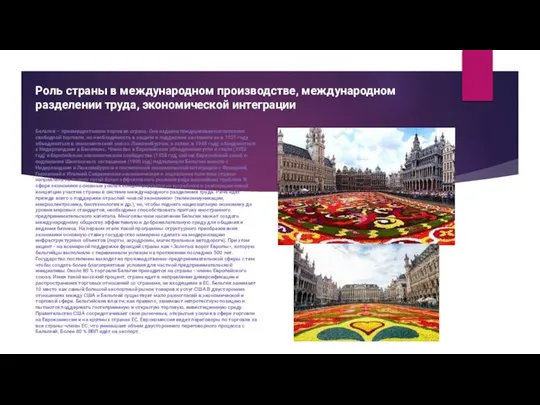 Роль страны в международном производстве, международном разделении труда, экономической интеграции Бельгия