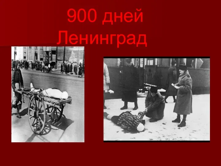 900 дней Ленинграда
