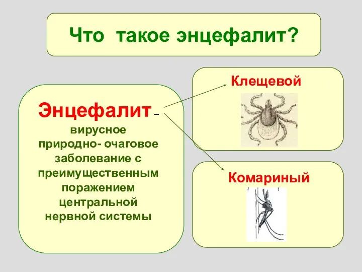 Что такое энцефалит? Энцефалит – вирусное природно- очаговое заболевание с преимущественным