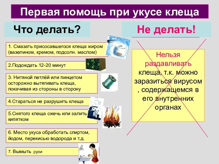 Первая помощь при укусе клеща Что делать? Не делать! 1. Смазать