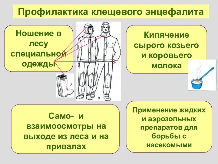 Профилактика клещевого энцефалита Ношение в лесу специальной одежды Само- и взаимоосмотры