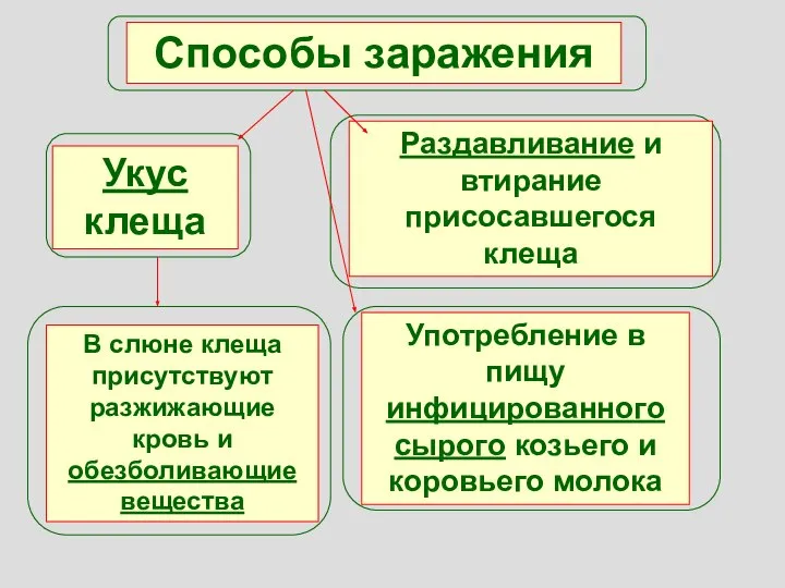 Способы заражения Укус клеща Раздавливание и втирание присосавшегося клеща Употребление в