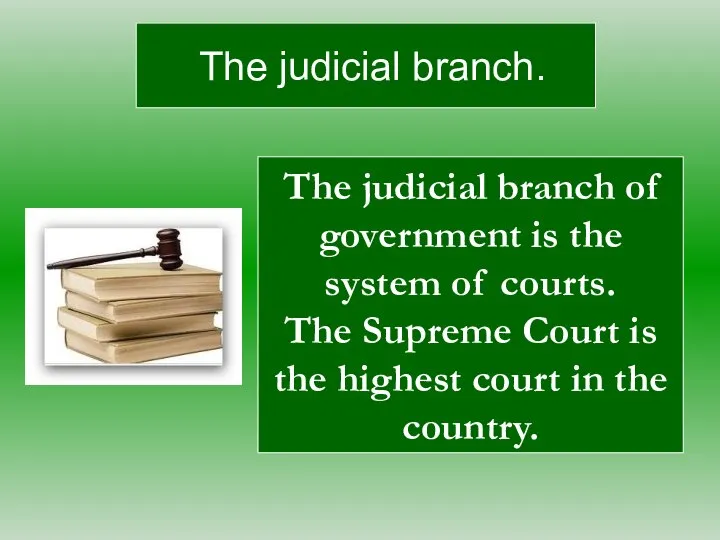 The judicial branch. The judicial branch of government is the system