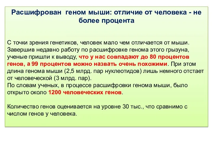 Расшифрован геном мыши: отличие от человека - не более процента С