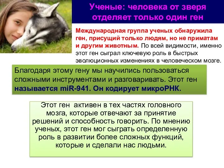 Ученые: человека от зверя отделяет только один ген Международная группа ученых