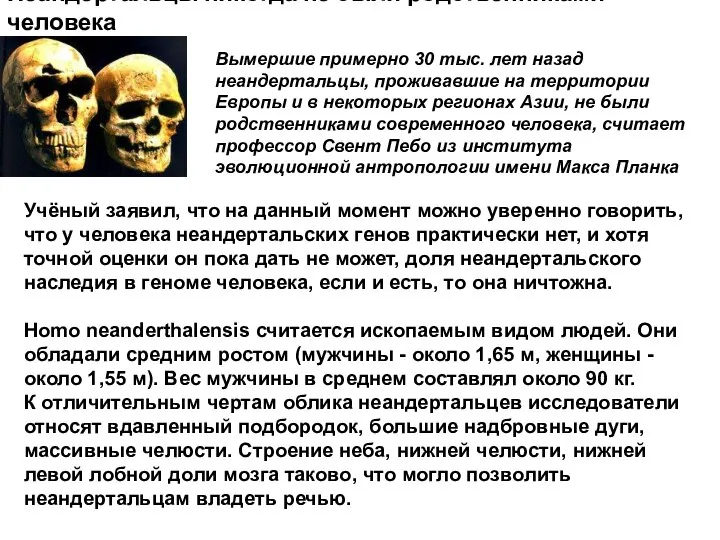 Неандертальцы никогда не были родственниками человека Учёный заявил, что на данный