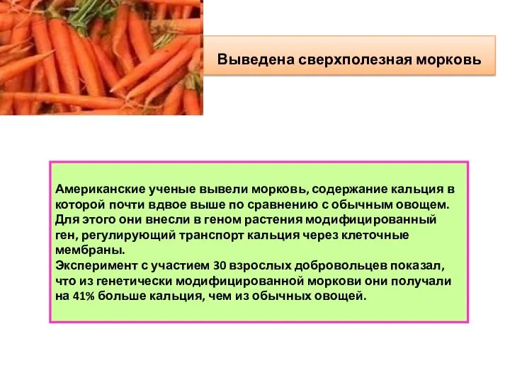 Выведена сверхполезная морковь Американские ученые вывели морковь, содержание кальция в которой