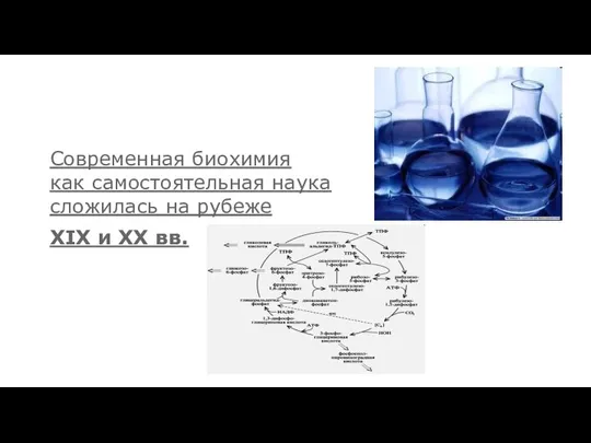 Современная биохимия как самостоятельная наука сложилась на рубеже XIX и XX вв.