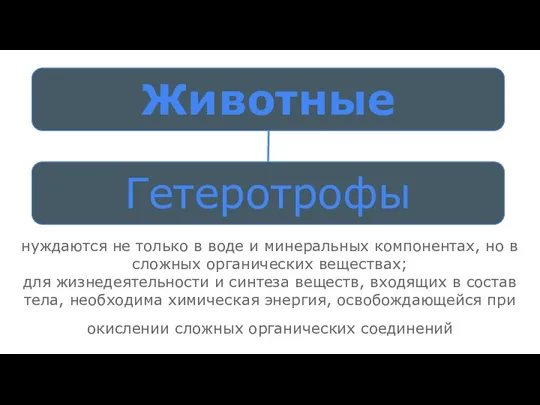 нуждаются не только в воде и минеральных компонентах, но в сложных