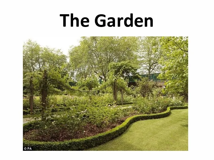 The Garden