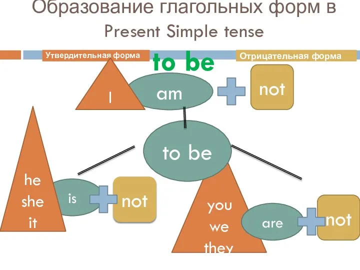 you we they Образование глагольных форм в Present Simple tense to