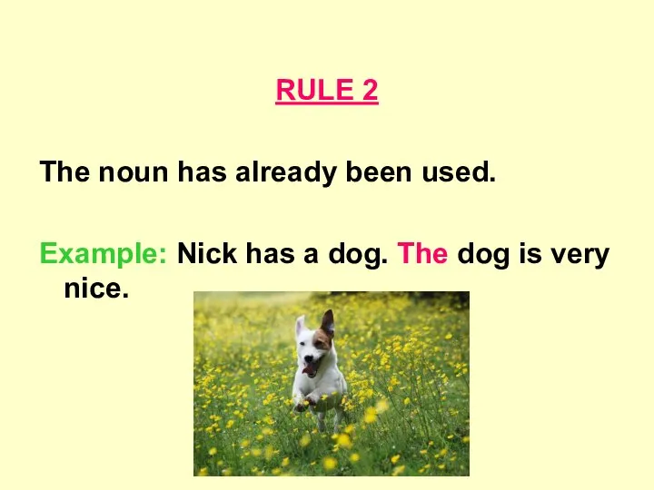 RULE 2 The noun has already been used. Example: Nick has