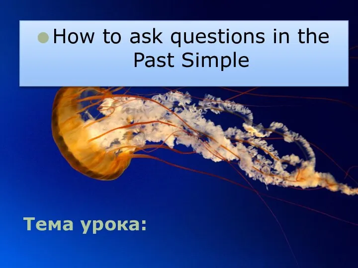 Тема урока: How to ask questions in the Past Simple