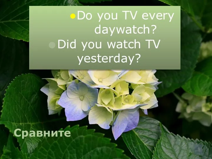 Сравните Do you TV every daywatch? Did you watch TV yesterday?
