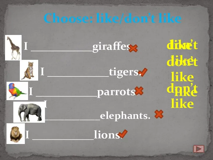 I ___________giraffes. Choose: like/don’t like I ___________tigers. I ___________parrots. I ___________elephants.