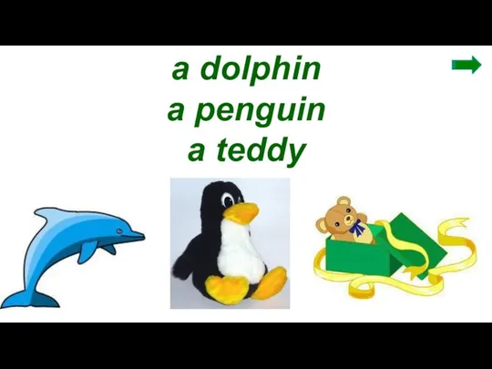 a dolphin a penguin a teddy