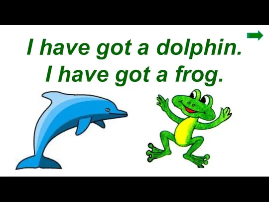 I have got a dolphin. I have got a frog.