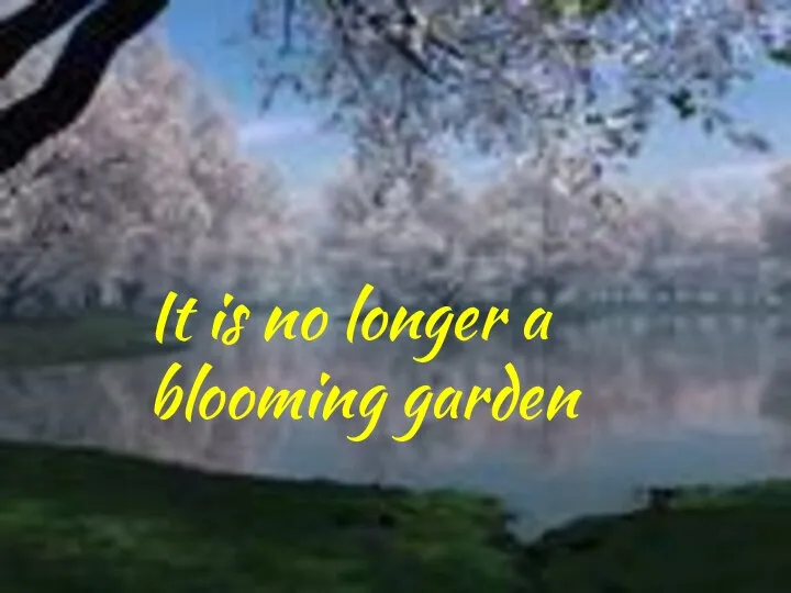 It is no longer a blooming garden