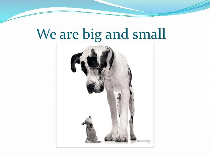 We are big and small