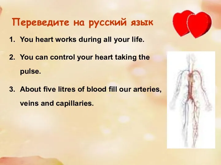 Переведите на русский язык You heart works during all your life.